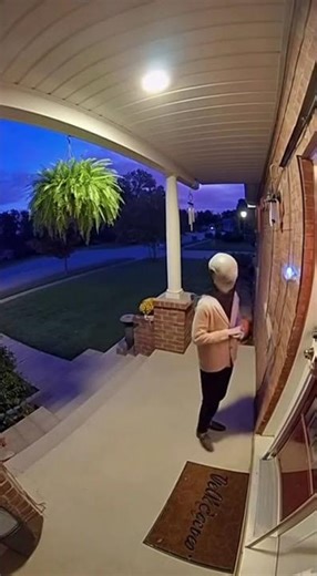 Alien Rings Doorbell 👽🔔 #shorts #aiart