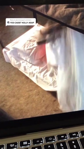 Cadet Kelly- this was deleted-pls share. Next- | Cadet Kelly