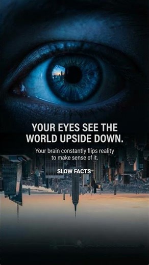 You Are Living In An Upside Down Reality #shorts #slowfacts