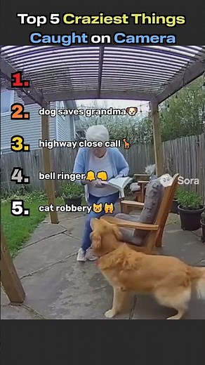 Top 5 Craziest Moments Caught on Camera 😱 | Viral Clips Compilation