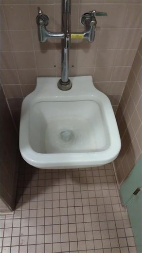 Eljer Mercer/Judson Flushing Rim Service Sink. #flush #restroom