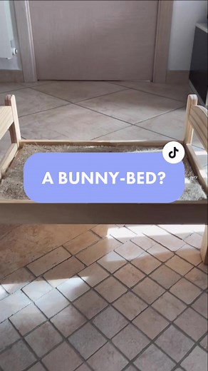 A Bunny-Bed? You are crazy! He will never use it! Good morning Harry 💜 #harry #rabbit #rabbitlife #babyrabbit #bun #bunny #littlebunny #bunnylove #harrybunny #harryhappybunny #bunniesofinstagram #hollandlop #hollandloprabbit #hollandlopbunny #petlovers #coniglionanoariete #minilop #buntok #bunnyoftiktok #bed #goodmorning #bunnylove #VocêNasceuParaMudar