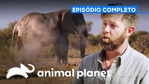 Forrest Galante se lança em uma expedição única para investigar criaturas enigmáticas e revelar mistérios escondidos da natureza. | Animal Planet Brasil