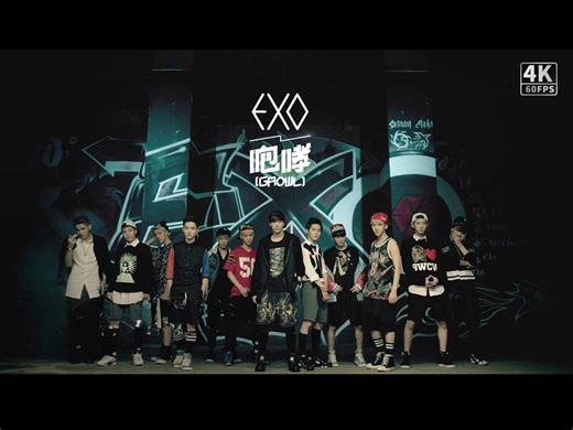 EXO - Growl 咆哮 中文版 4K_哔哩哔哩_bilibili
