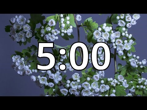 5 Minutes Timer with Music | Spring Timer