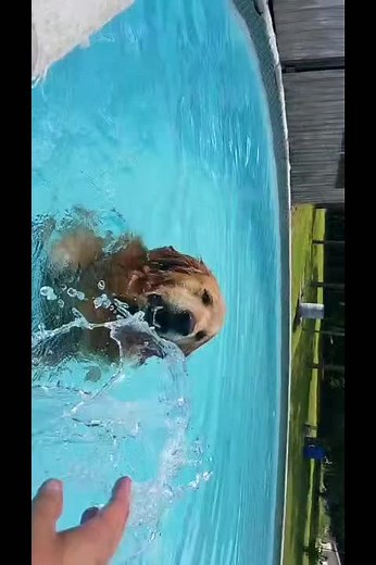 Kimberly Clark (@kimberlyclark78)’s videos with original sound - Kimberly Clark