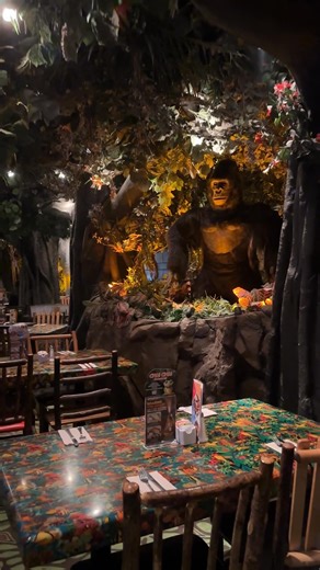 Welcome to Cha! Cha!'s (San Antonio) crib. 🐸🏠 | Rainforest Cafe