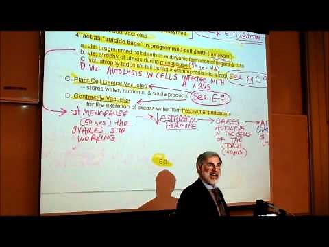 BIOLOGY; CYTOLOGY; PART 3 by Professor Fink