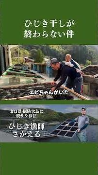 The drying process of hijiki seaweed never seems to end.
