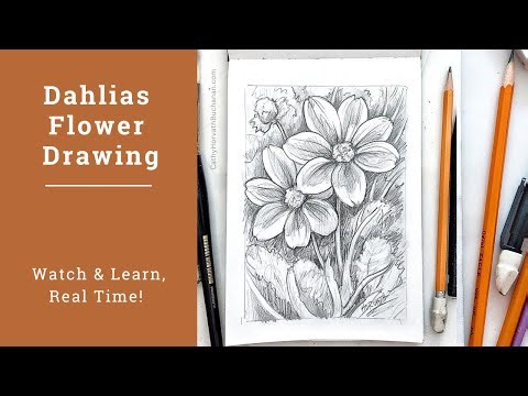 See this Dahlia Flower Come to Life With a Pencil, Start to Finish!