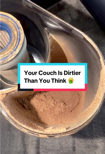 Your Couch Is Dirtier Than You Think 🤮 #clean #TikTokShopHolidayHaul #ShopVideoCarnivali #dustmites #TEANT