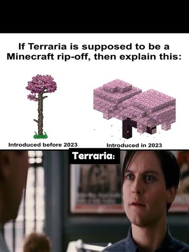 Did Minecraft actually COPY Terraria? 🌸💀 #minecraft #pov