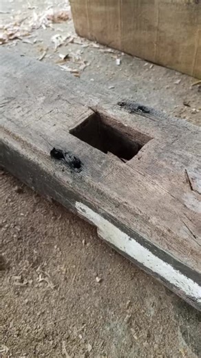 Onebackbone (@onebackbone)’s videos with original sound - Onebackbone