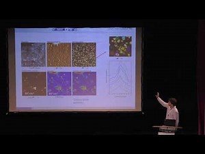 Infrared Nanospectroscopy a useful tool for solving real world problems