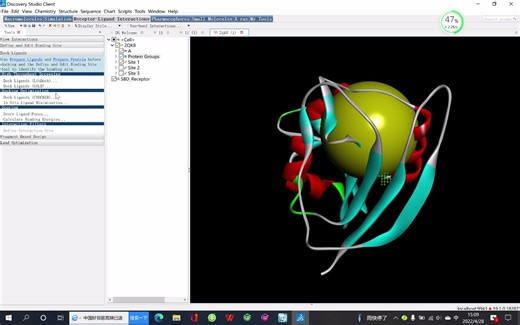 史上最简单的分子对接教程-Discovery Studio