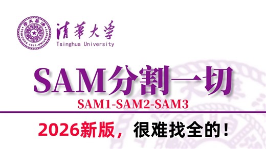 2小时搞定！【2026最强SAM模型】分割一切！AI大佬手把手带你吃透SAM模型，从环境配置到本地部署、推理！小白也能轻松跑通！附源码！-AI/图像分割