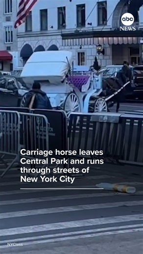 Video shows a runaway carriage horse dashing into traffic, crashing into cars in New York City. The Transport Workers Union, which represents Central Park’s carriage drivers, said that a delivery driver startled the horse. David Muir reports. https://abcnews.visitlink.me/YDV2SR | ABC News