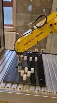 Robot Fanuc Go4tech 1