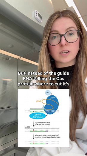 CRISPR Base Editing: Precision in Gene Modification