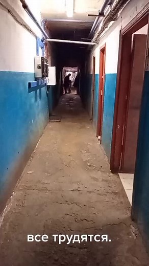 Exploring a Dairy Farm Feeding Routine