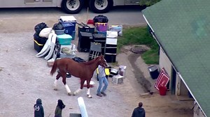 1.4M views · 2.4K shares | HORSES ARRIVE AT CHURCHILL DOWNS: About 175 horses are expected to arrive today, the day horse racing is allowed to resume in Kentucky. https://bit.ly/3btOzcQ | WLKY News | Facebook