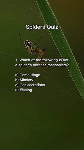 Spiders Quiz #quiz #QuizTime #animals #spiders #science | Nick's Questions