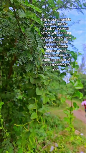 How to Manage Your TikTok Messages Effectively