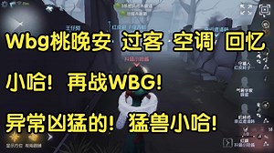 【大神】Wbg桃晚安 过客 空调 回忆 小哈！再战WBG！异常凶猛的！猛兽小哈！