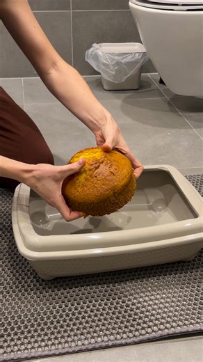 You Won’t Believe This Is a Cake 🎂 🥳 | 5-Minute Crafts GIRLY