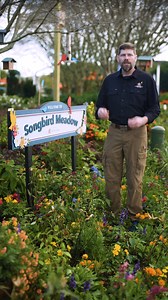 5 comments | Wild Birds Unlimited is proud to present Songbird Meadow...