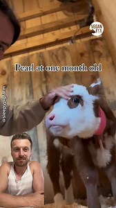 1.8K views · 165 reactions | "A vegan world is going to set into...