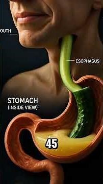 8 Surprising Benefits of Drinking Cucumber Water Every Day