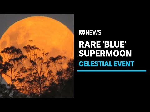 Rare 'blue' supermoon illuminates the night sky | ABC News