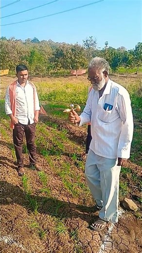 Borewell Point Searching Method Live Umarkhed Yavatmal