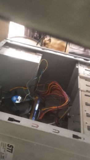 2.1K views | AMD versus INTEL #reels #AMD #Intel #asus #informática #hardware #socket #pc #setup #humor #comédia #acabou #relacionamento #reel #streamer | Eliel Silva Santos | Facebook