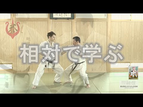 剛柔流・佐藤哲治先生【８つの分解組手：基礎編】型に空手の命を吹き込む GOJYU RYU "BUNKAI KUMITE" BY SEIKICHI TOGUCHI VOL.1