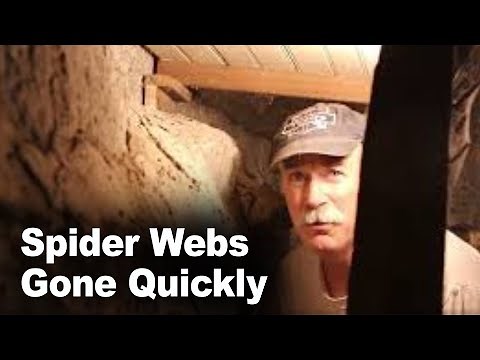 How to get rid of Cobwebs quickly!!!