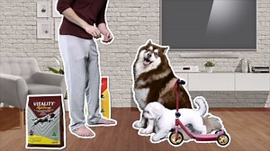 Our doggos go above and beyond to make us happy. That’s why we show our love in return with Vitality. Every bag of Vitality offers vet-approved, hypoallergenic dog food that’s made of high-quality lamb and beef from Australia. Got a story to share? Tell us how your dog makes you happy on the comment section below! #PawsUpForVItality | Vitality Dog Food Ph