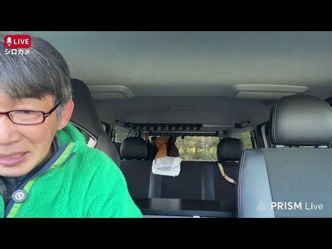 シロカメライブ配信