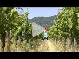 Préparer son désherbage en 5 étapes