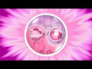 Miraculous Ladybug ❀ Pig and Mouse Fusion Transformation Background •Fan-Made•