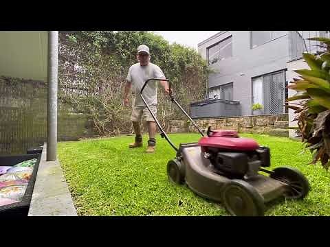Honda Lawn Mower - Mulching Grass