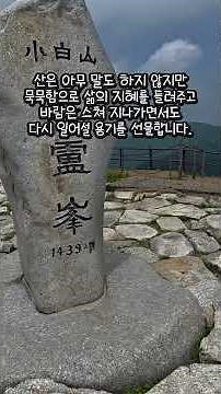 Escaping the Heatwave! Lush Sobaeksan Mountain | The Comfort of Sobaek Plateau | A Mountain Retre...