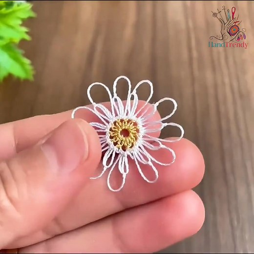 15K views · 50 reactions | Tiny flower, huge charm! This daisy is...