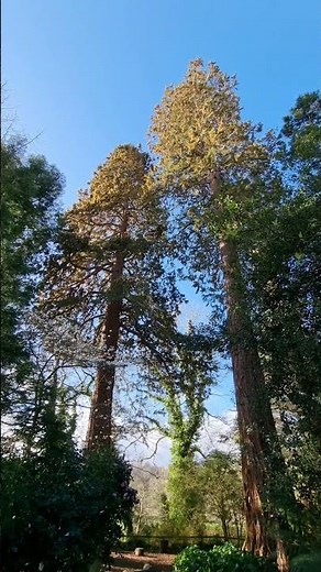 Dunster Castle Grounds | Scenic Views & Historic Somerset Landmark | 24th March 2023
