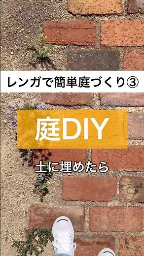 かわいいお花とグランドカバーになるハーブも植えて経年変化も楽しみたいと思います♪グランドカバーが育つまでお楽しみに！！#庭 #庭diy #庭づくり #経年変化 #ガーデニングdiy #shorts