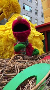 59K views · 3.6K reactions | Elmo had so much fun with Elmo’s friends today! Happy Thanksgiving everybody! | Elmo | Facebook