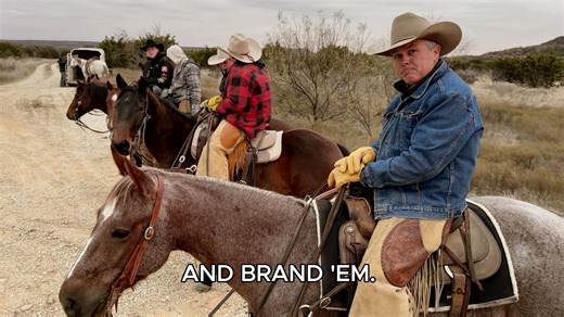 𝗖𝗢𝗟𝗗 𝗠𝗢𝗥𝗡𝗜𝗡𝗚 𝗥𝗔𝗡𝗖𝗛𝗜𝗡' 𝘄𝗶𝘁𝗵 𝗦𝗖𝗢𝗨𝗧 5-Year-Old Gelding Stevie Rey Von x Hey Georgy Girl (LTE $132k) x Wild Thing DNA AVAILABLE —> Fort Worth Stock Show Select Sale, Jan. 17 CALL SLICK —> 334-507-1386 | Slick Robison Rope Horses