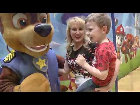 PAW Patrol Pup Pup Boogie