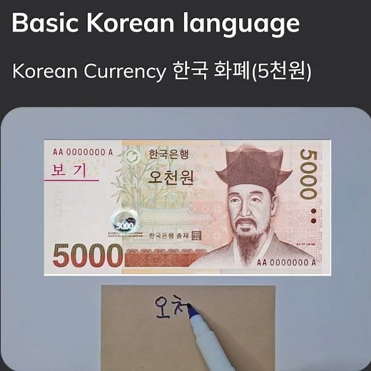 Korean Currency 한국 화폐(오만원, 만원, 오천원, 천원) #learnkorean